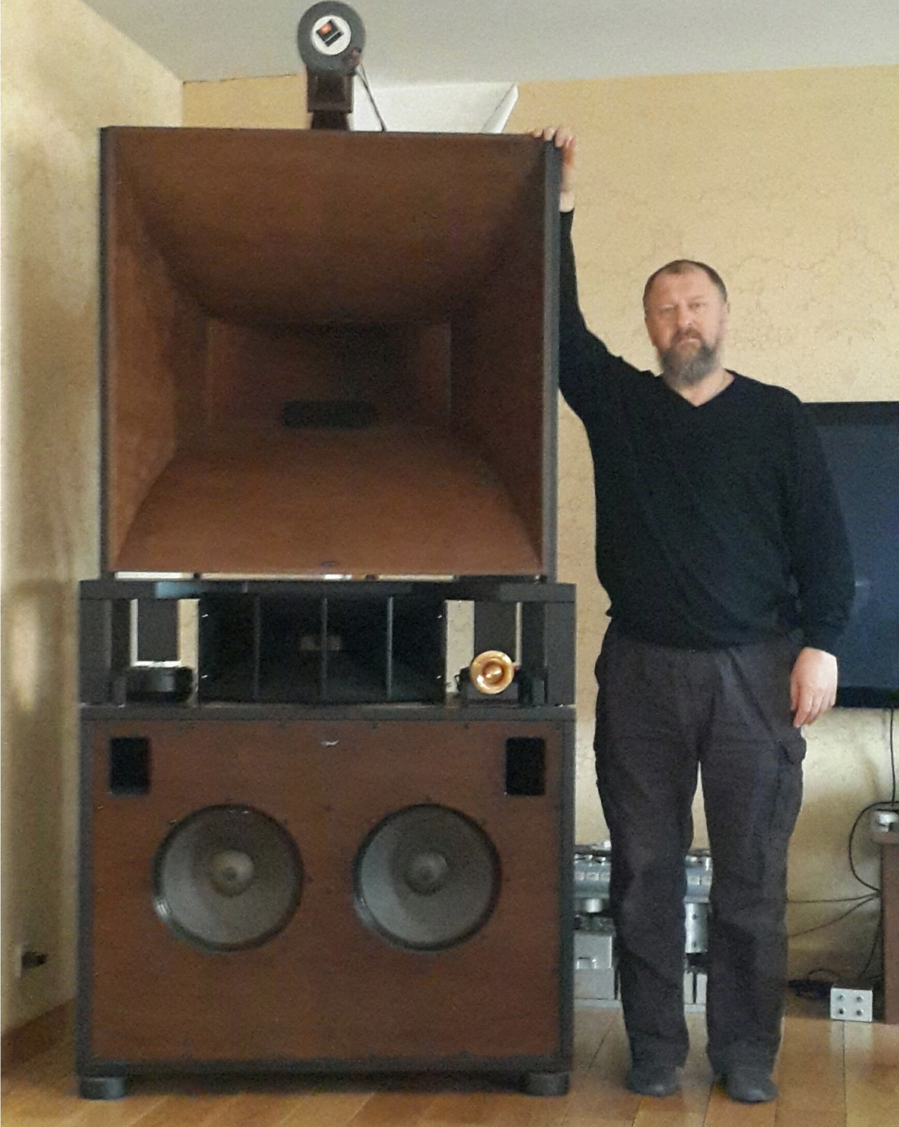 Lignolab Onken Sato horn 3